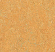 Forbo Marmoleum Decibel on Order 384735 golden saffron фото 1 | FLOORDEALER